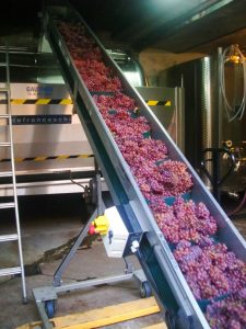 chargement-pressoir-vins-koenig-1 chargement-pressoir-vins-koenig-1