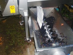 egrappage-vins-koenig-2 egrappage-vins-koenig-2